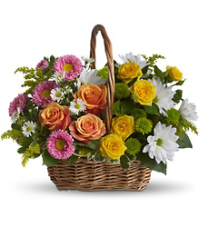 Sweet Tranquility Basket from Carl Johnsen Florist in Beaumont, TX